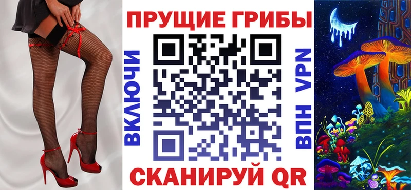 Псилоцибиновые грибы Psilocybine cubensis  цена   Новопавловск 